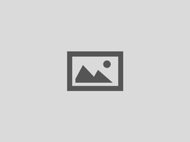 Formulario de manuscritos