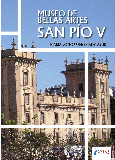 Portada de: LA COLECCIÓN DE PINTURA DE BELLAS ARTES DE VALENCIA