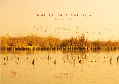 LA ALBUFERA DE VALENCIA