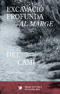 EXCAVACIÓ PROFUNDA AL MARGE DEL CAMÍ